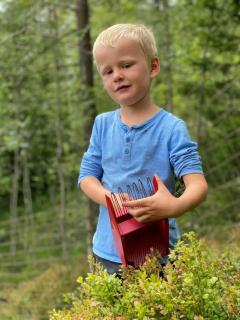 Høgda - Røyland Gård - 2