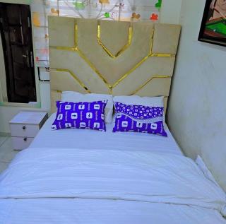 Luxury Guest Room & Parlour with Solar-Inverter Backup - 5