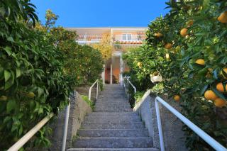 Apartments by the sea Podgora, Makarska - 2593 - 1