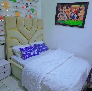 Luxury Guest Room & Parlour with Solar-Inverter Backup - 0