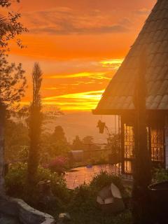 El Chalet Orquideal - 0