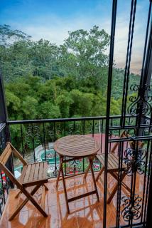 El Chalet Orquideal - 4