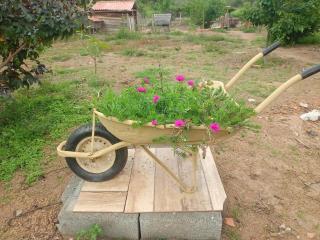 Recanto Pachamama Harmonia Cabin - 4