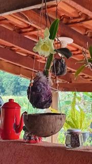 Recanto Pachamama Harmonia Cabin - 2