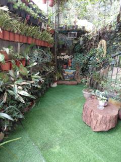 Ecarg Alum Baguio City Transient House - 2