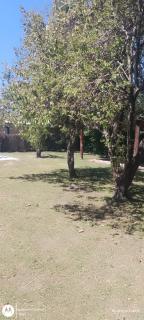 Los Zorzales - 7