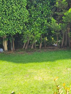 Estudio loft y roof garden con privacidad - 7