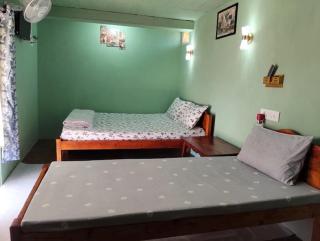 Spring Meadow Homestay - 8