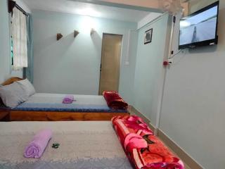 Spring Meadow Homestay - 4