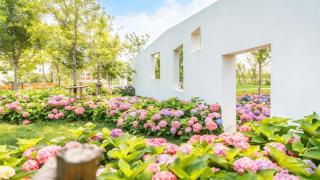 Yu Resort - 7