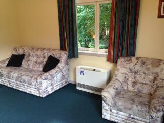 Willowbrook Country Apartments - Arrowtown - 4