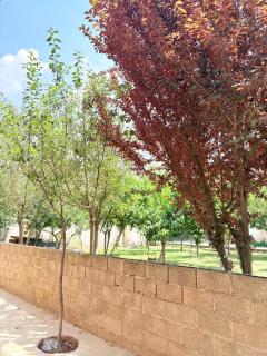 Raaim home stay - 1