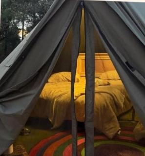 Glamping en la mejor zona de Patzcuaro - 9