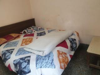 Ever Green Guest House デリー日本 人 宿 - 9