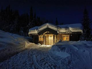 Liaplassen Fjellhytte - 9