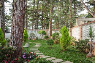 Villa Dưới Tán Thông Đà Lạt - Dalat - 9