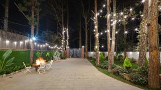 Villa Dưới Tán Thông Đà Lạt - Dalat - 0