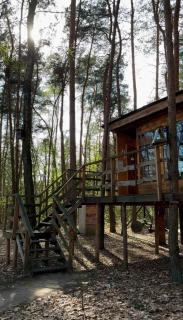 Domek na Drzewie - 9