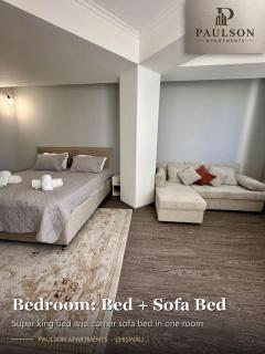 Paulson Airport Apartments - Chişinău - 5