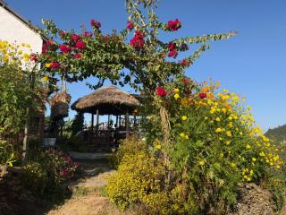 Culture home homestay - 1