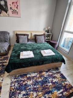 Cozy Vitosha View Studio, Steps from Winter Palace, Supermarket & Bus - 8