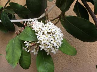 B&B Livingstone - 7