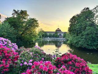 RAUM2GO - NO3 stylisches studio KURPARK & CITY - 6