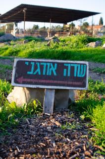 חוות נאח"ת רוח - מתחם אירוח ייחודי למשפחות וקבוצות בכפר יחזקאל - 7