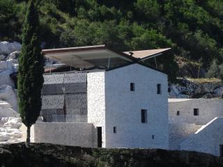 VILLA FARFALLA & GUESTHOUSE - The world unique property with an openable roof - Lucca - 9