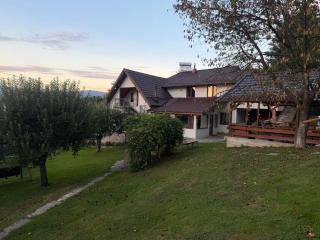 Pensiunea Poiana Luminoasă - 8
