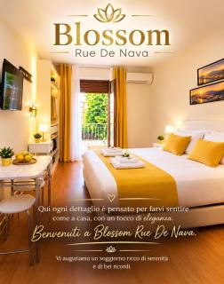 Blossom Rue De Nava - 5