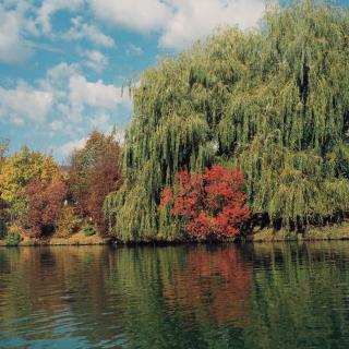 Lopota Lake Resort & Spa - 9