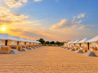 The Dhora Luxury Camp - 1