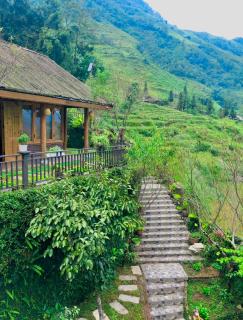 Bluebell Homestay - 6