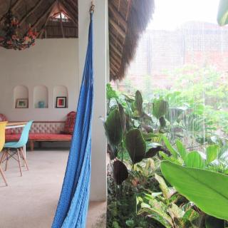 Casa Clara 2 bedrooms and 2 kitchens with a Large Flowery Garden - 3