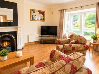 Stylish 3BR Home in Tullow Carlow - 6