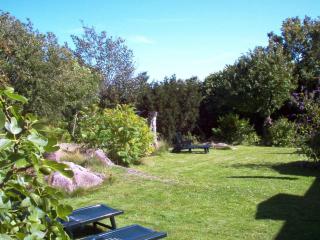 4 person holiday home in Allinge - 3