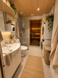 Arctic Aurora Sauna Studio - 1