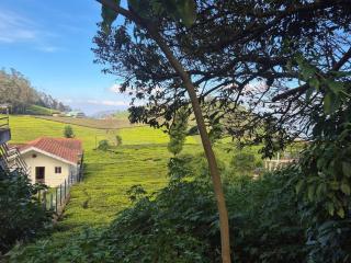 Bagaan - Tea Plantation Stay, Ooty - 4