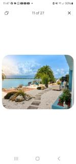 Paradise Lane-Dolphin View - 6