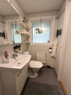 Cabin in Ystad Sandskog - 3