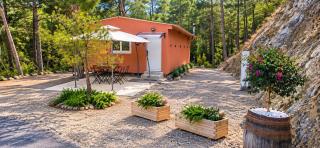 Pinecone Luxury Glamping - 9