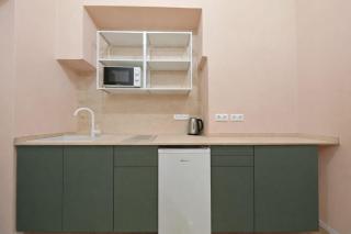 Spacious, Light Studio Apartment in Vinohrady - 0