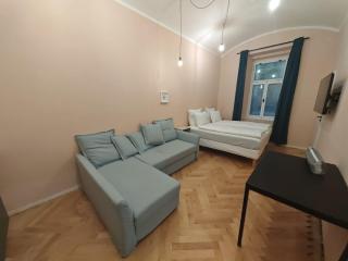 Spacious, Light Studio Apartment in Vinohrady - 8