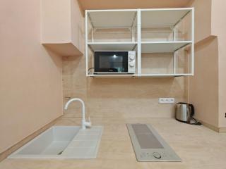 Spacious, Light Studio Apartment in Vinohrady - 6