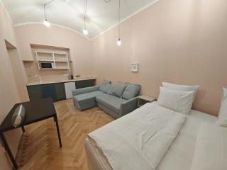 Spacious, Light Studio Apartment in Vinohrady - 7