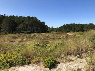 7 person holiday home in Grenaa - 9