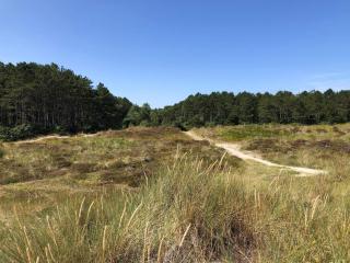 7 person holiday home in Grenaa - 5