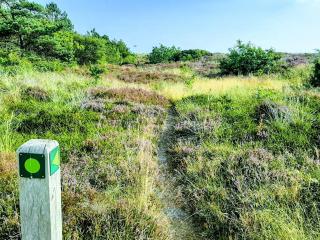 7 person holiday home in Grenaa - 4