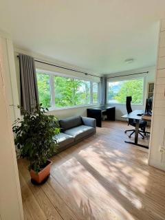 Spa Waterfront & Pool Table - Chalet du Paradis - 2